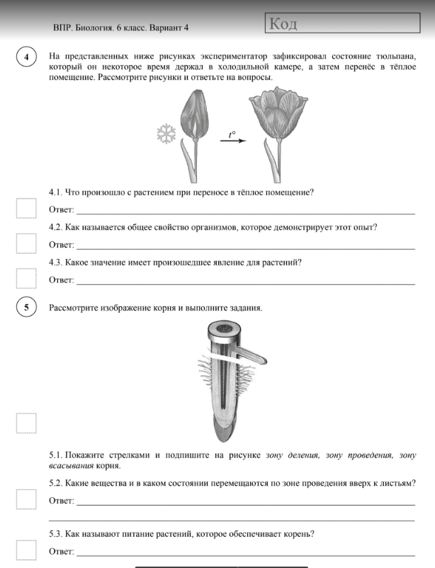 Впр по биологии 2024г ответы. Биология 6 класс ВПР 2020 С ответами. ВПР по биологии 6 класс 2022 год. ВПР по биологии за программу 6 класса ответы. ВПР по биологии 6 класс 2022 с ответами.