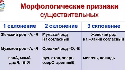 Морфологические признаки имен существительных