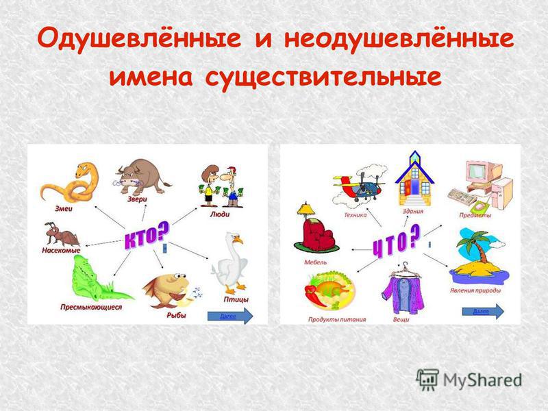 Одушевленное и неодушевленное имя существительное 5 класс презентация