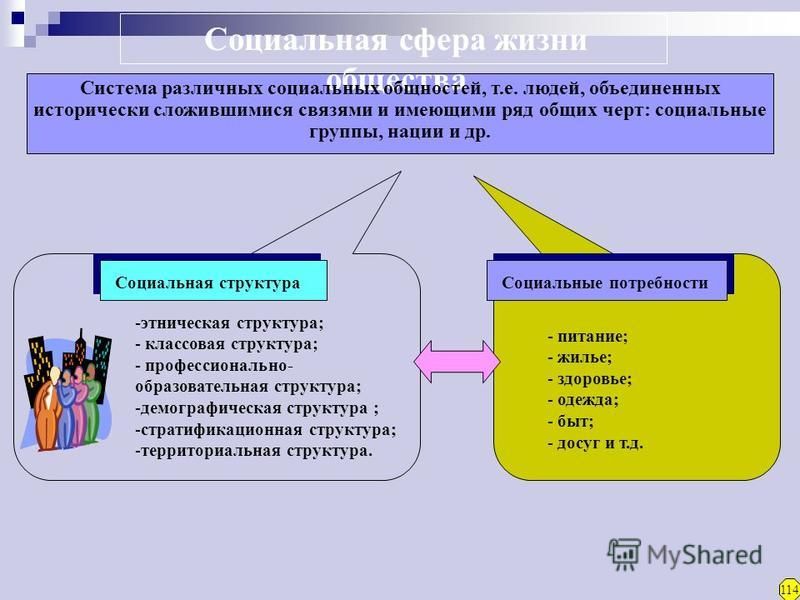 1 социальная сфера общественной жизни