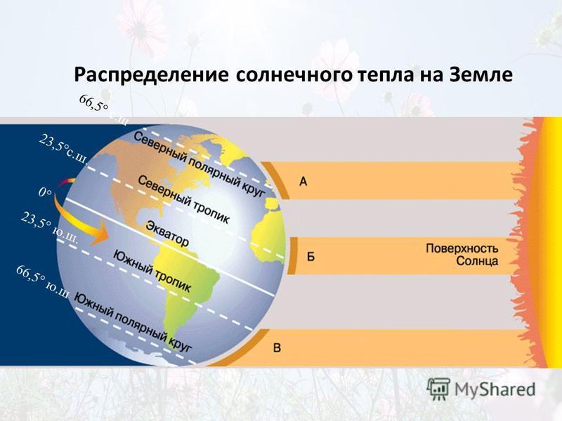 Презентация пояса земли 7 класс презентация