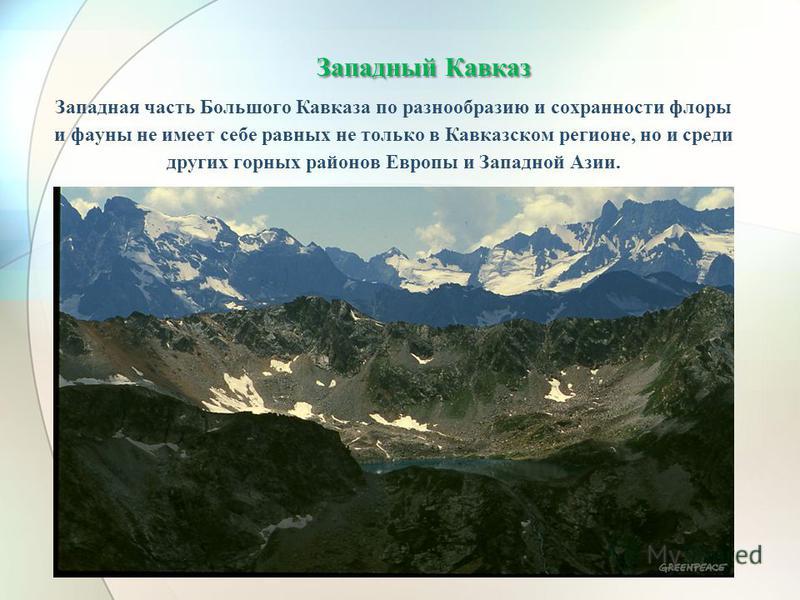 Кавказ территория развития. Западный Кавказ ЮНЕСКО. Западный Кавказ кавказские горы.