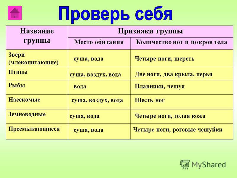 Группа животных покровы тела таблица