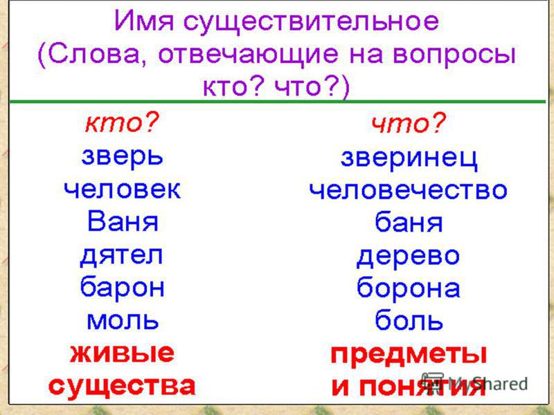 Пять слов существительных. Имя существительное слова. Имя существительное 2 класс презентация. Что такое существительное?. Имя существительное как часть речи.