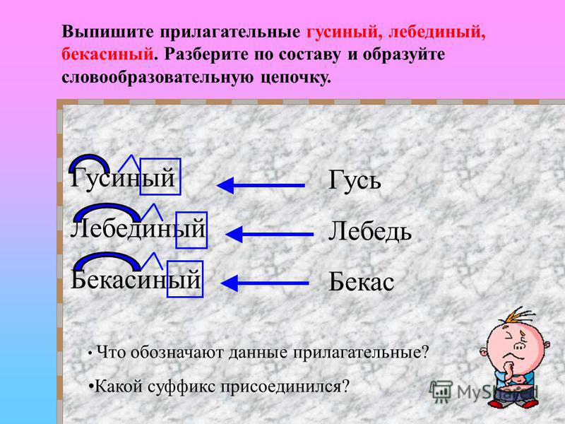 Прилагательное выделить корень