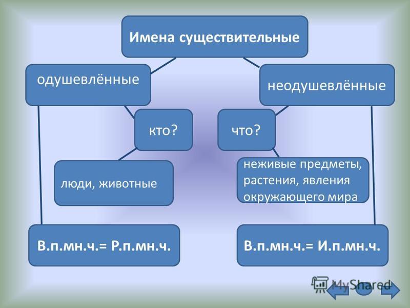 Неодушевленные существительные растения