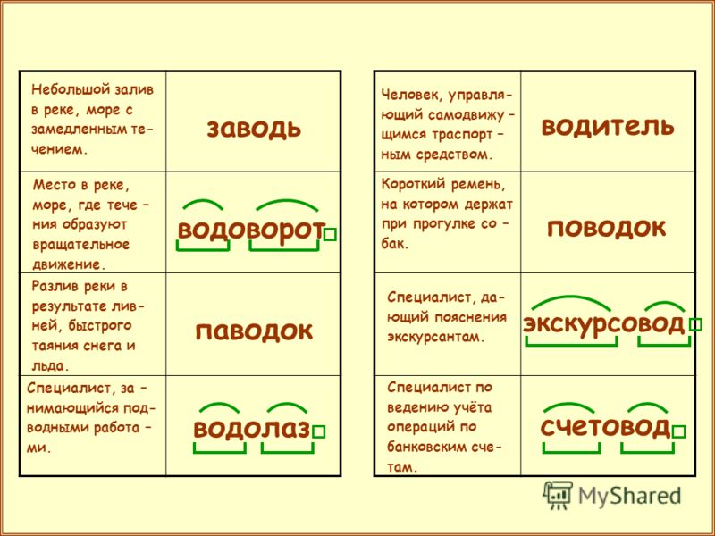 Фотография разбор по составу