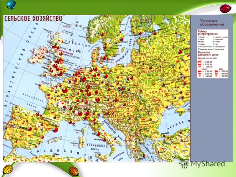 Карта сельского хозяйства зарубежной европы