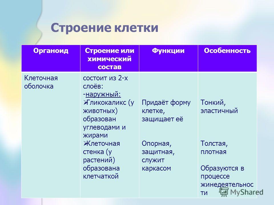 Состав и строение оболочки. Клеточная стенка структура клетки строение функции. Строение и химический состав клеточной стенки. Клеточная мембрана особенности строения 9 класс. Клеточная мембрана строение и функции таблица.