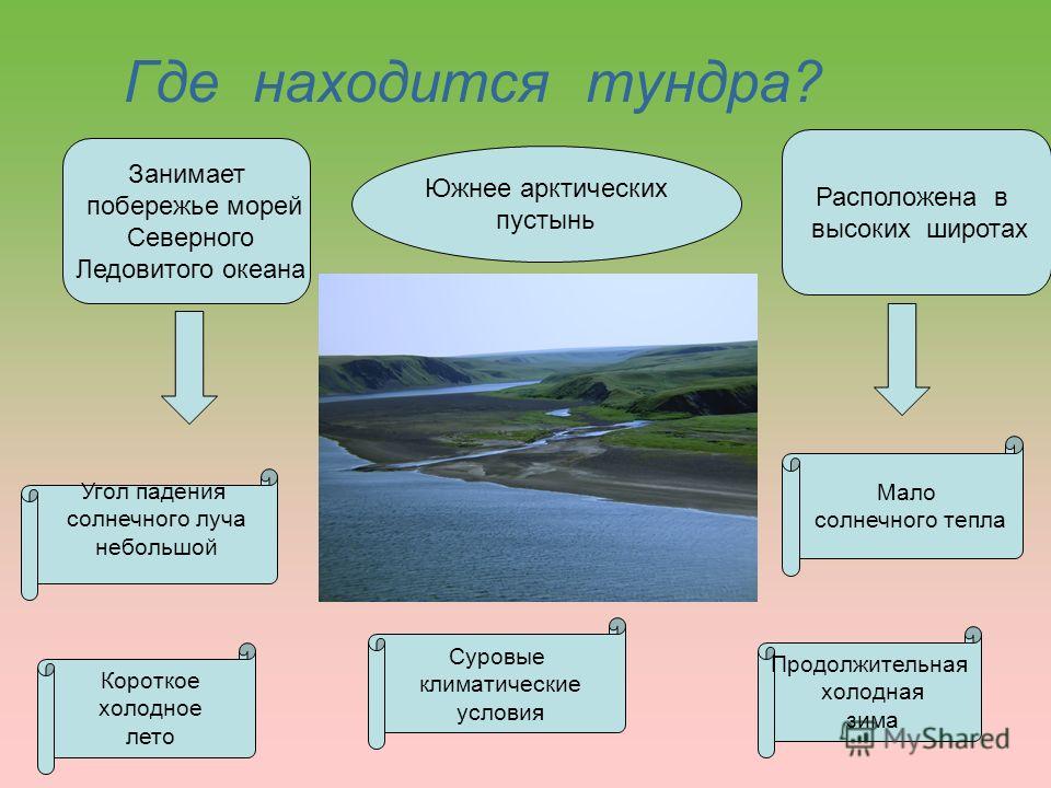 Природная зона острова. Тундра занимает. Моря зоны тундры. Где находится тундра. Зона тундры расположена.