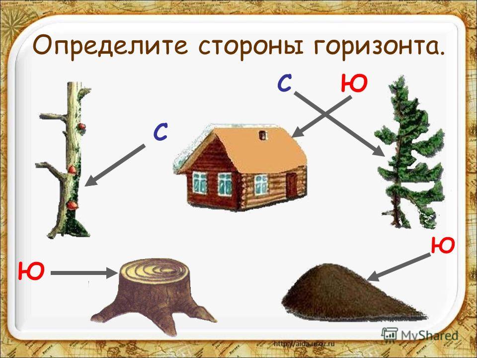 Схема сторон горизонта 2 класс