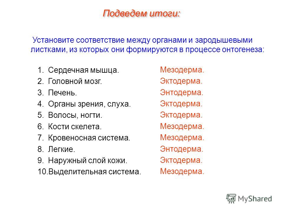 Онтогенез презентация 11 класс