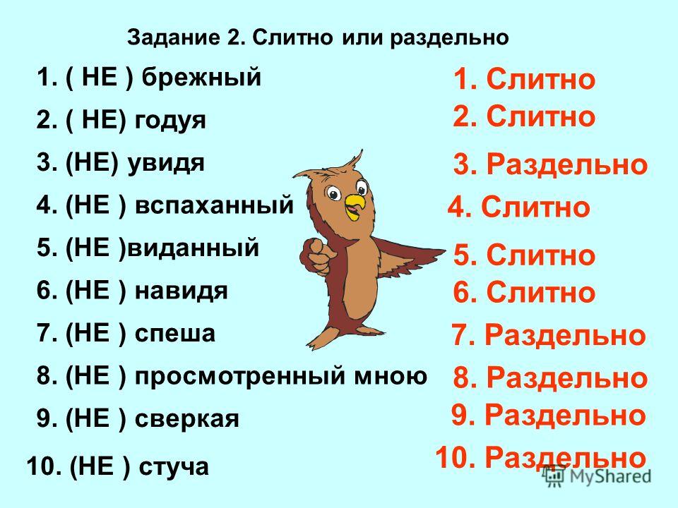 Всмысле как пишется правильно. Не спеша слитно или раздельно. Слитно или раздельно задание. Задание на не слитно или раздельно. Как пишется всмысле слитно или раздельно.