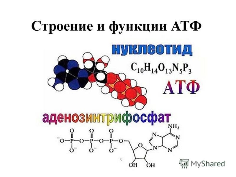 Атф равенол для акпп