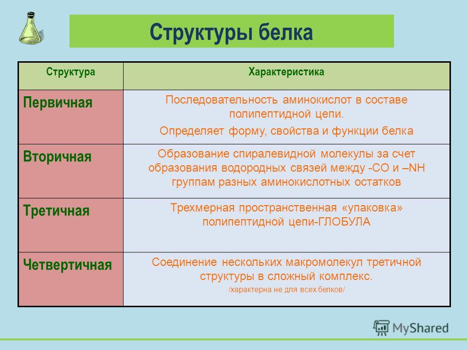 Презентация на тему белки по биологии 10 класс