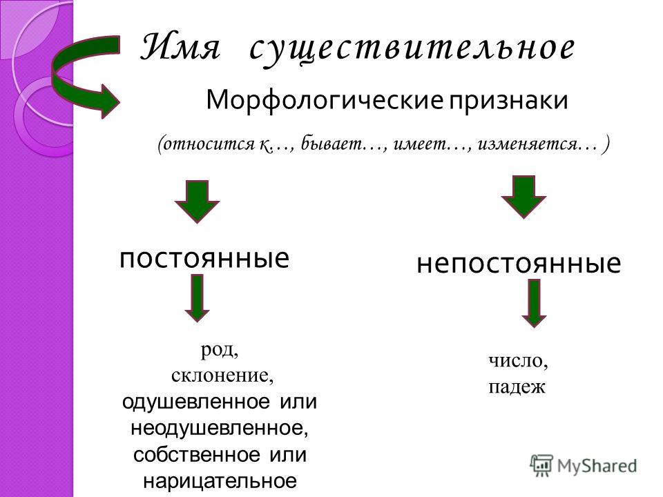 Признаки существительных