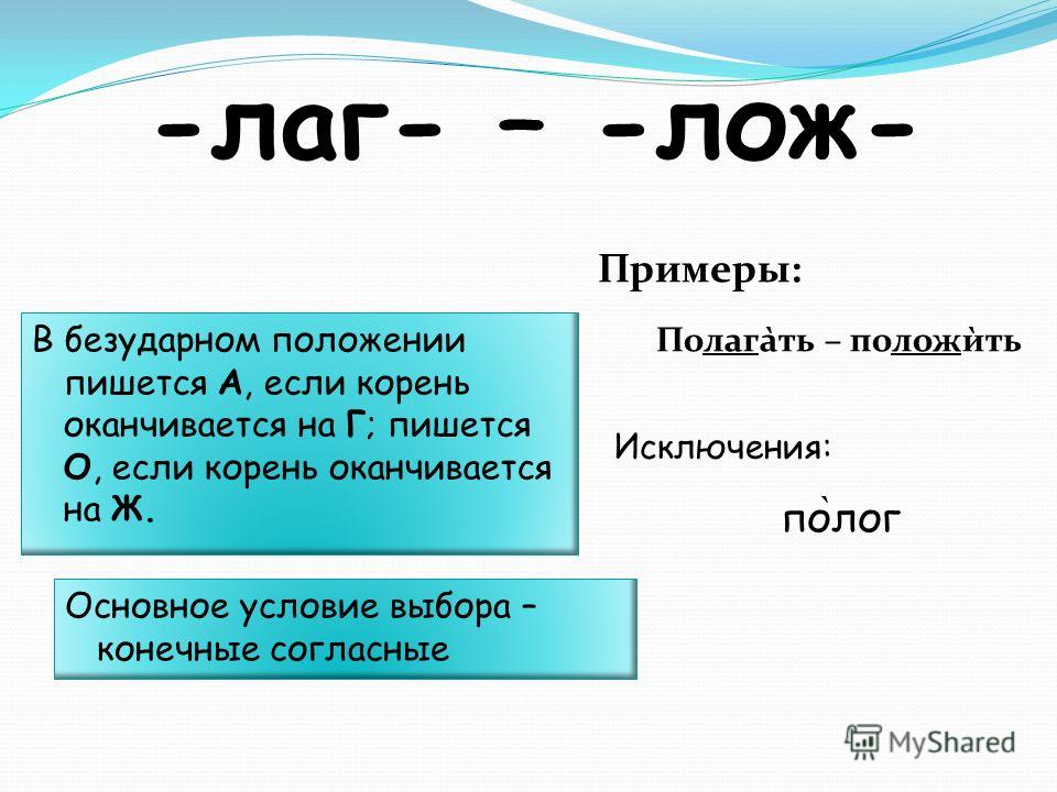 Приложение почему корень лож