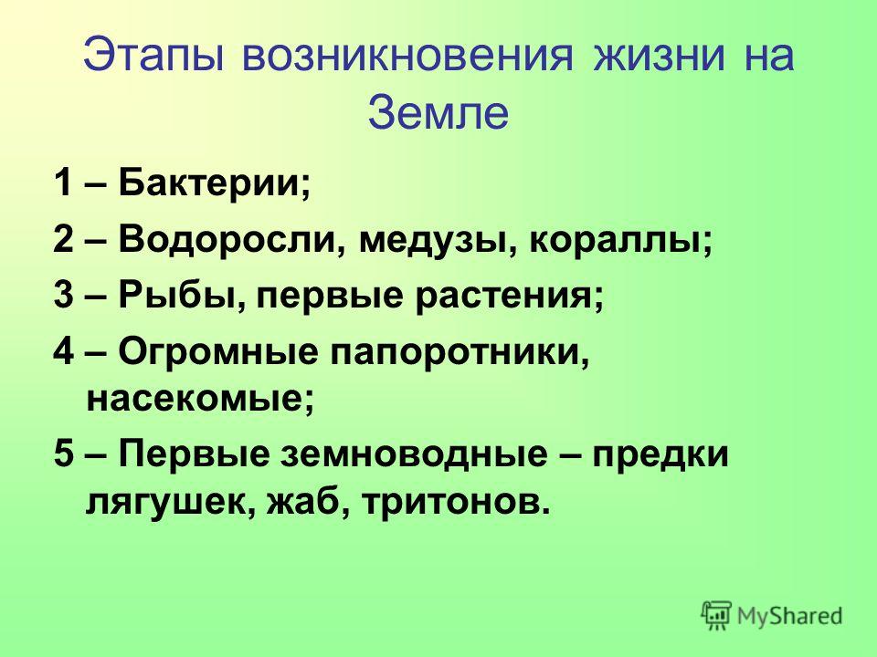 Этапы возникновения жизни схема