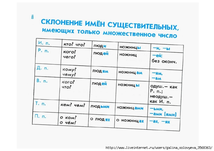 Склонение имен во множественном числе. Люди склонение. Ножницы просклонять по падежам. Склонение существительных ножницы. Ножницы склонение.