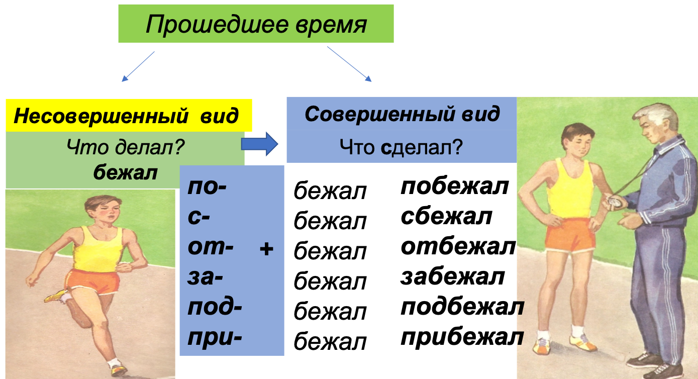 Выбирать совершенный вид