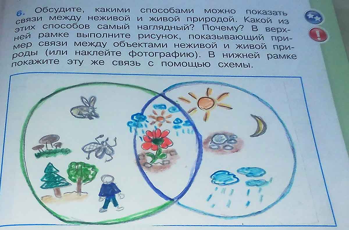 Неживой и живой природы 2 класс схема