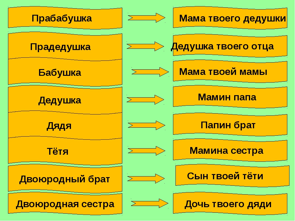 Какое редкое свойство в слове дед кот. Как правильно про или прабабушка. Как пишется прабабушка и прадедушка правильно. Как правильно писать прабабушка. Пробабушка или прабабушка как писать правильно слово.