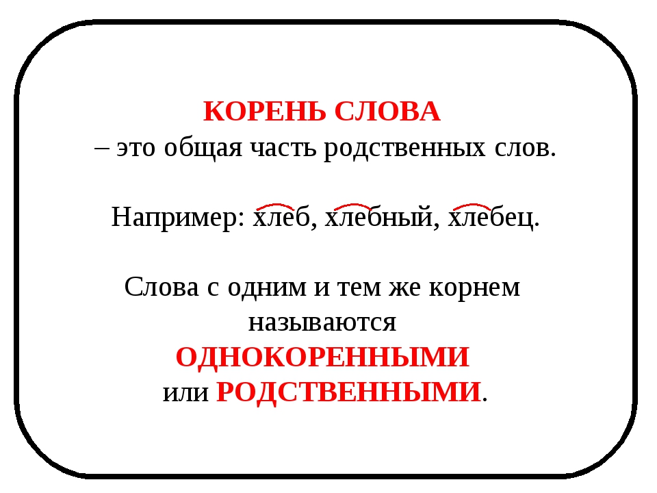 Корень это в русском. Корень правило 2 класс. Корень однокоренные слова.