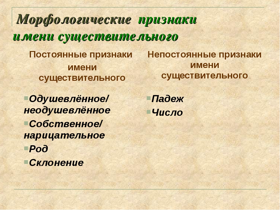 Постоянные признаки слова. Постоянные морфологические признаки имени существительного. Признаки имен существительных. Морфологические признаки существительных. Постоянные и непостоянные признаки имен существительных.