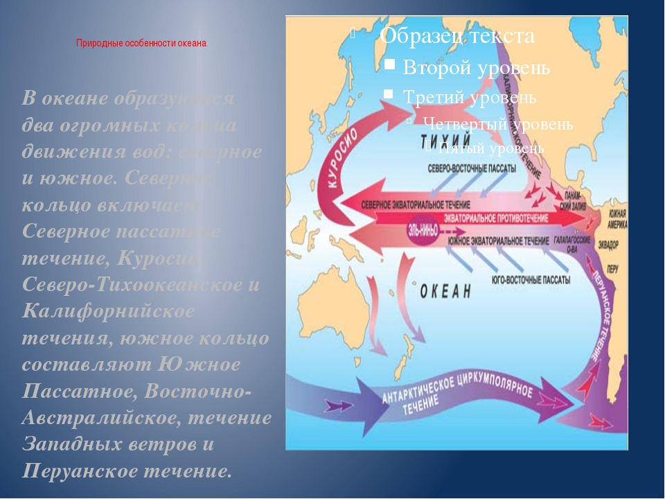 Особенности океанических течений. Южное пассатное течение индийского океана. Куросио течения Тихого океана. Тихий и индийский океаны течения. Теплое течение Куросио на карте.