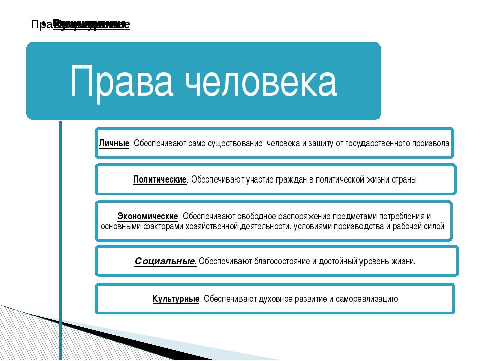 Презентация на тему социальные права 9 класс обществознание