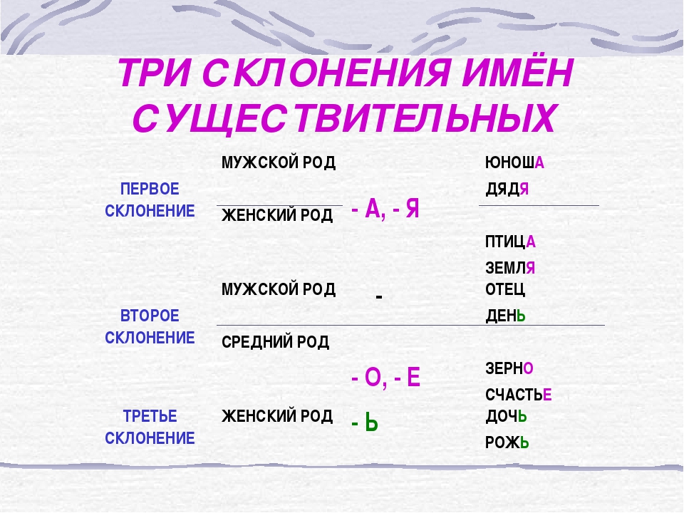 Узнали о склонении и роде существительных. Существительное женского рода 3 склонения. Существительное женского рода 1 склонения. Склонение мужского рода. Склонение имен существительных женского рода.