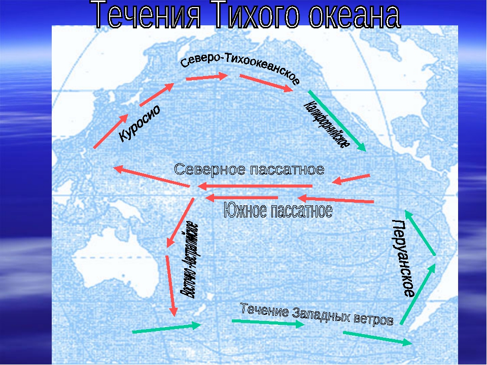 Дайте характеристику течения западных ветров. Северо пассатное течение на карте мира. Южное пассатное течение на карте. Южное и Северное пассатные течения.