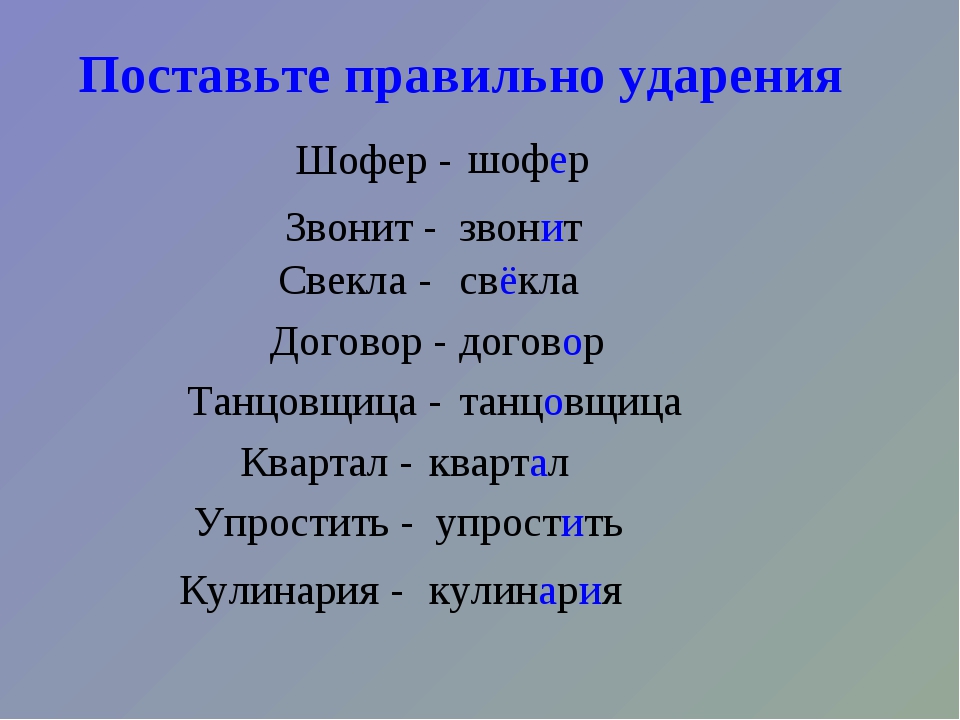 Танцовщица ударение. Шофер ударение. Шофёр ударение правильное. Ставь ударение правильно. Свекла или свёкла ударение.