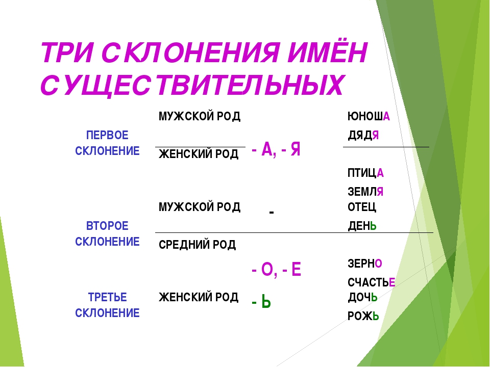 Имена 1 склонения. Имена существительные 3 склонения женского рода. Первое склонение. 1 Склонение женский род. Третье склонение.