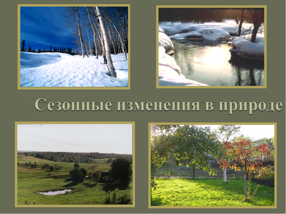 Изменения природы в июне. Сезонныеиминия в природе. Сезонные изменения в природе. Сезонные изменения в природе картинки. Сезонные явления в природе.