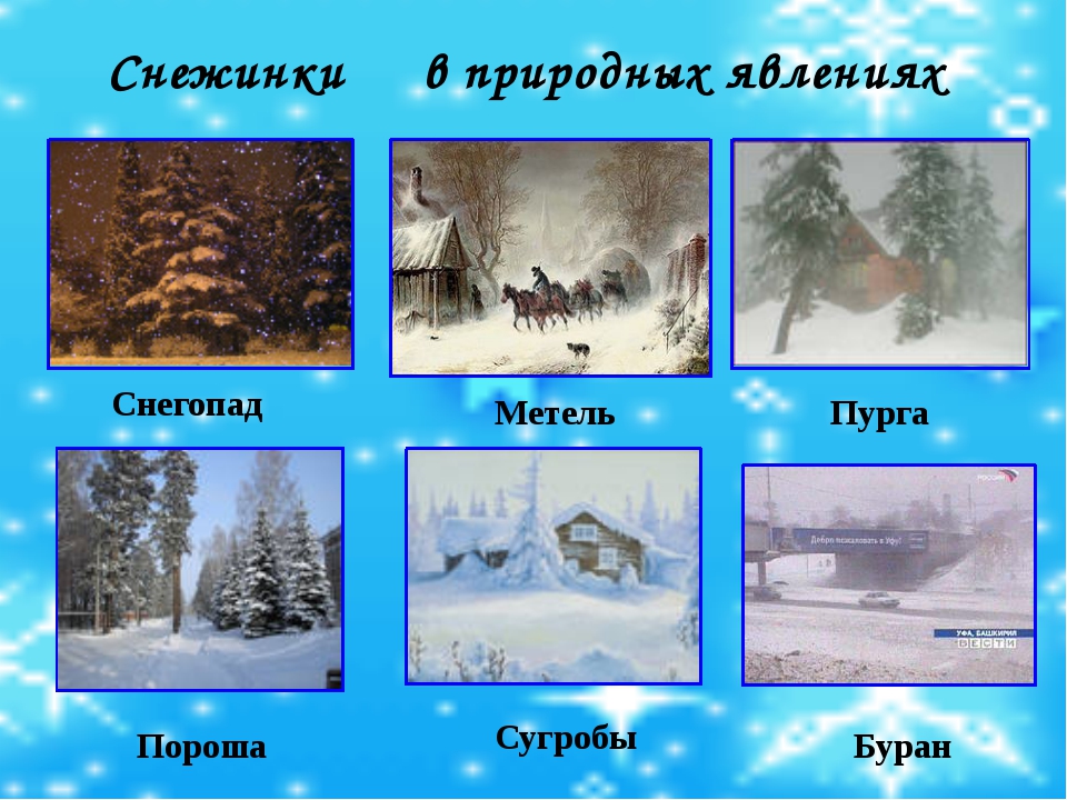 Какой время снег. Зимние явления природы для детей. Зимние явления природы для дошкольников. Природные явления зимы для дошкольников. Сезонные явления в природе зимой.