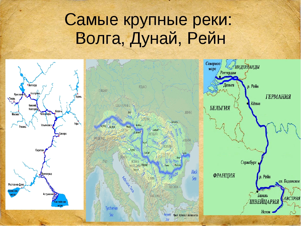 Какие реки протекают в европе. Река Волга на карте. Рейн на карте. Карта рек. Река Рейн на физической карте.
