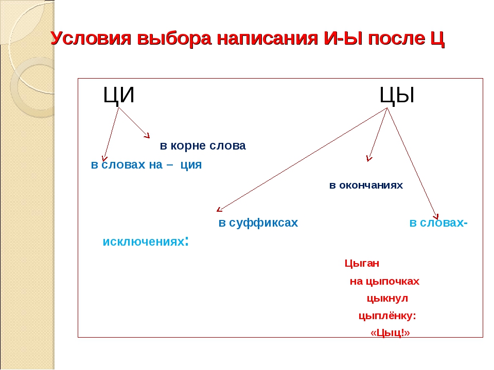 Выберите написание. Цы и Ци правило написания. Схема правописание и ы после ц. Правописание и ы после ц урок в 5 классе. Урок ы и после ц 5 класс.