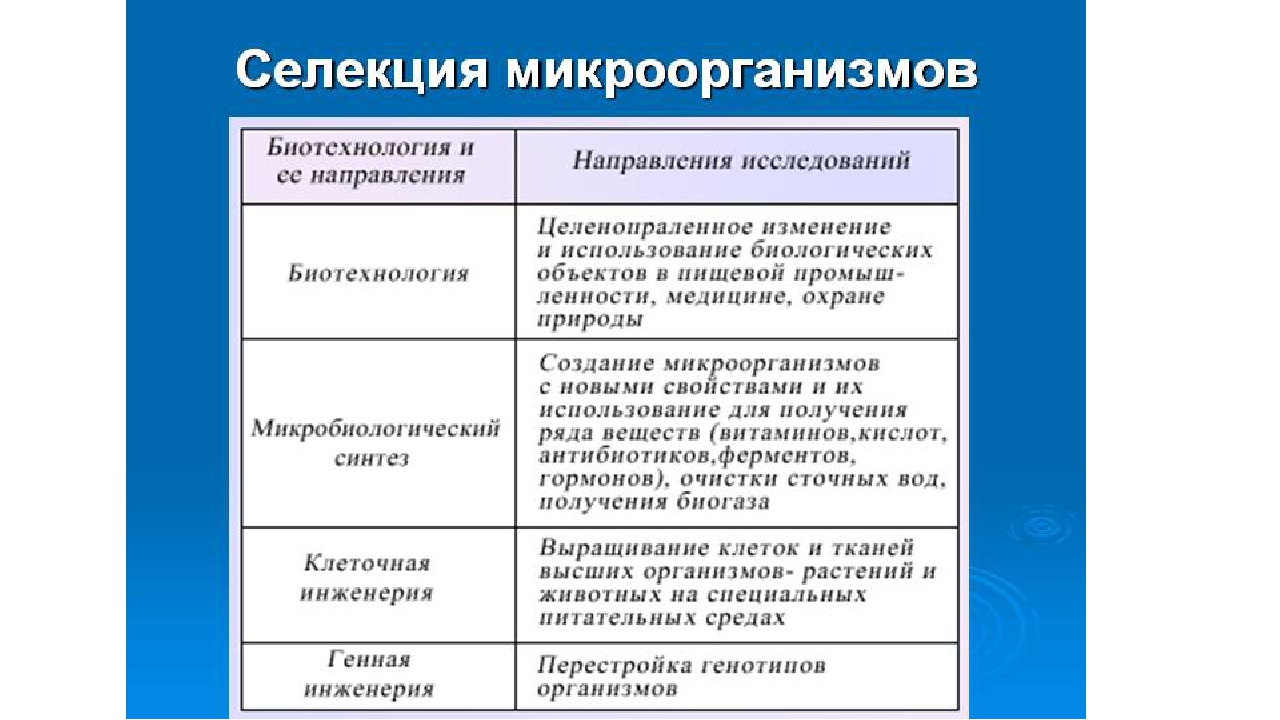 Основные методы селекции растений животных и микроорганизмов презентация 11 класс