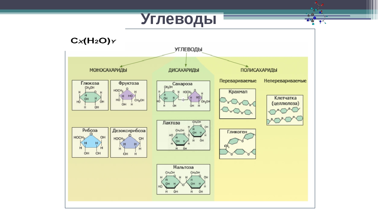 3 типа углеводов