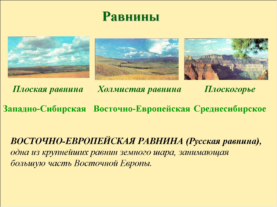 Равнины, горы, плоскогорье России список. Название равнин. Равнины презентация. Равнины России 4 класс.