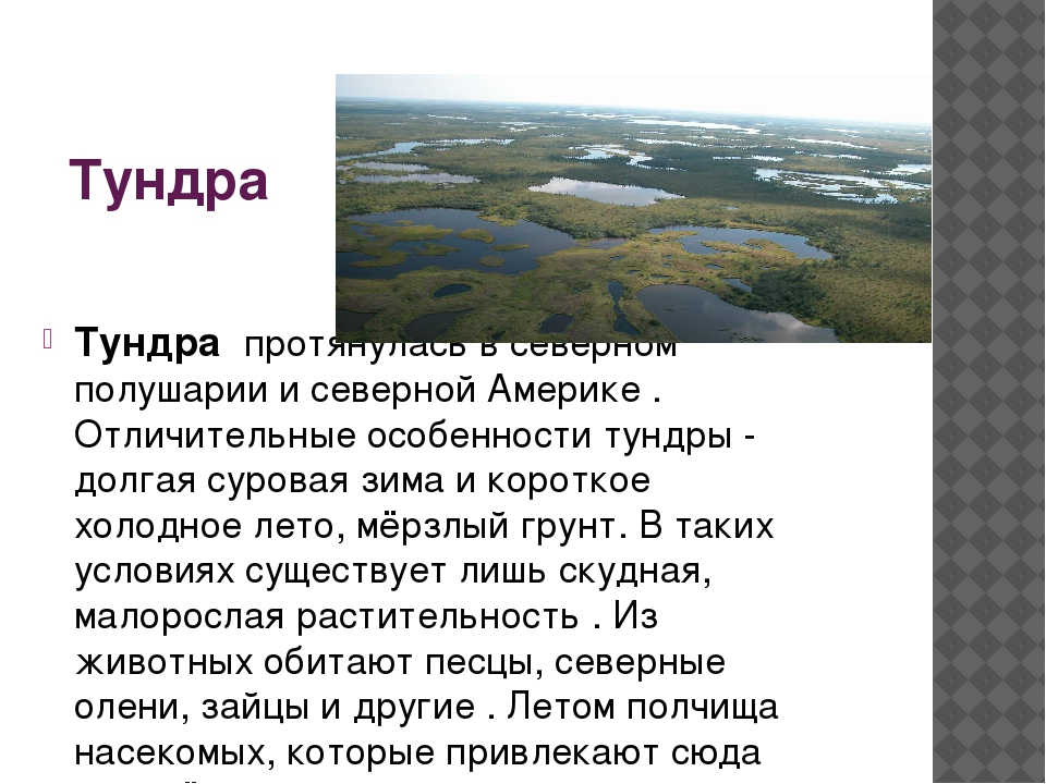 Описание природной зоны тундры по плану 6 класс