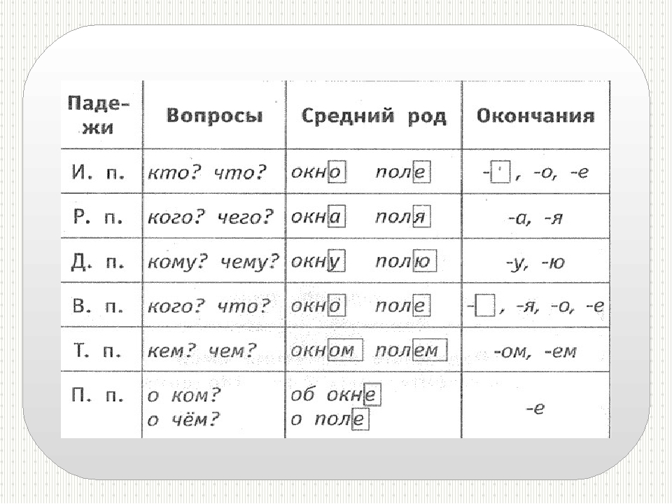 Окончание таблицы 3 1 1. Падежные окончания имён существительных 2 склонения таблица. Таблица падежных окончаний 1 склонения. Падежные окончания имен существительных 2 склонения. Падежные окончания имен существительных 1 и 2 склонения.