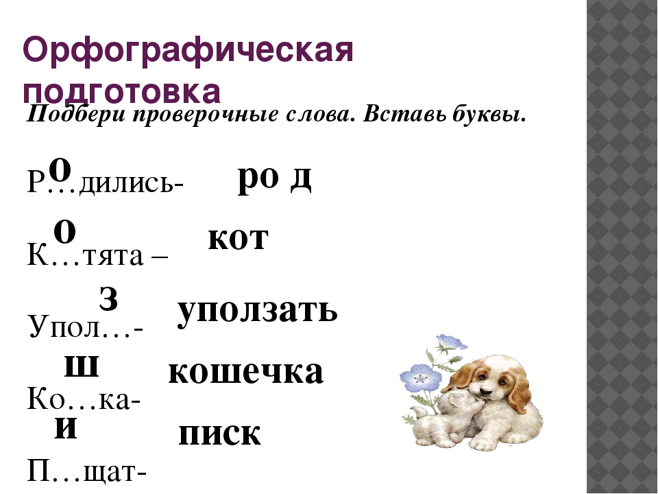 Как проверить слово рисунок букву и