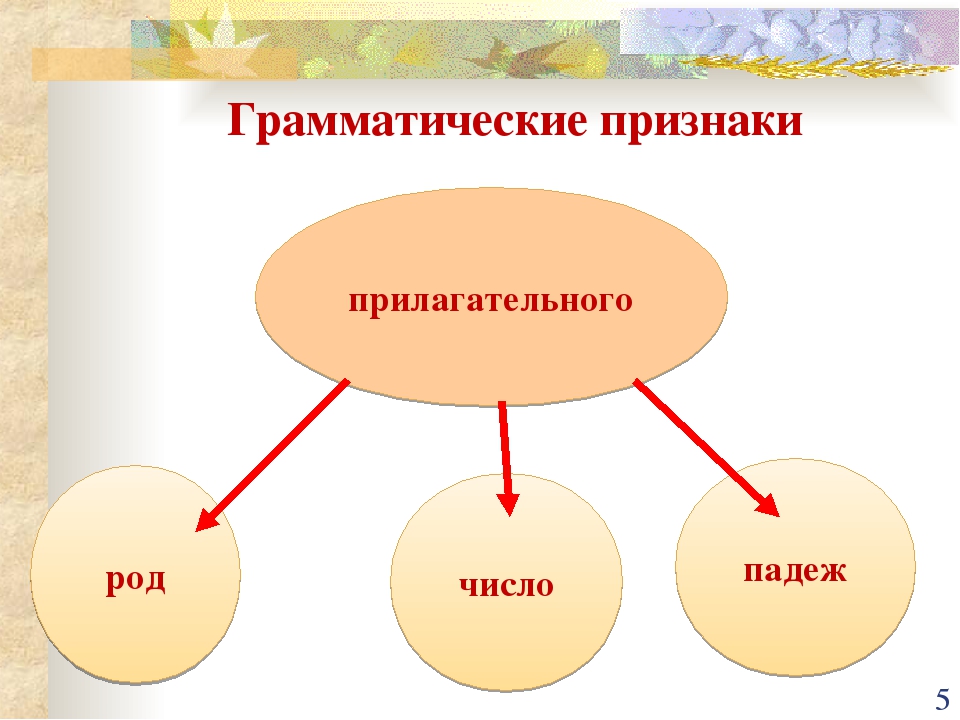 Грамматические признаки слова презентация