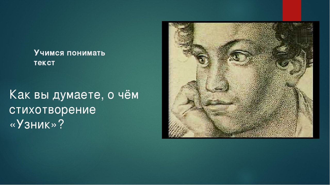 Узник пушкин главные герои. Узник Пушкин. Стихотворение узник. Рисунок к стиху узник.