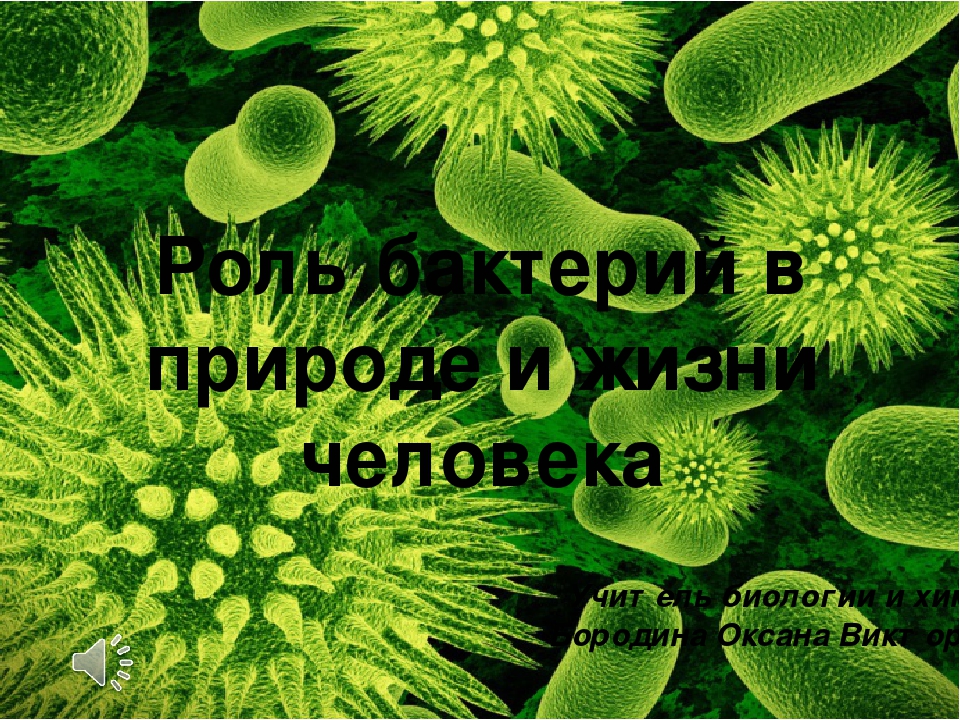 Сообщение на тему бактерии в природе. Бактерии в природе и жизни человека. Роль бактерий в жизни человека. Жизнь бактерий в природе. Доклад роль бактерий в природе и жизни человека.
