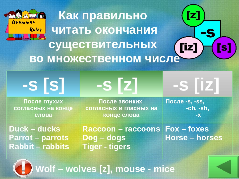 Правила окончания множественного числа в английском языке. Окончания множественного числа в английском. Окончания существительных в английском языке. Окончания существительных во множественном числе в английском языке. Окончания множественного числа существительных в английском.