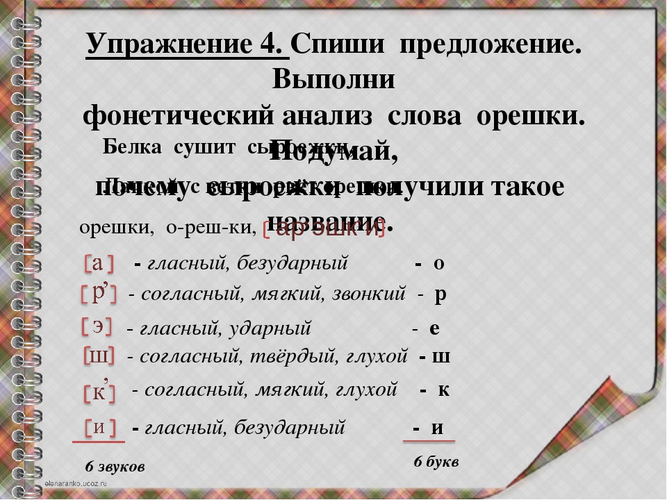 Белка под цифрой 1. Анализ слова орешки. Фонетический анализ орешки. Фонетический анализ слова орешки. Выполни фонетический анализ.