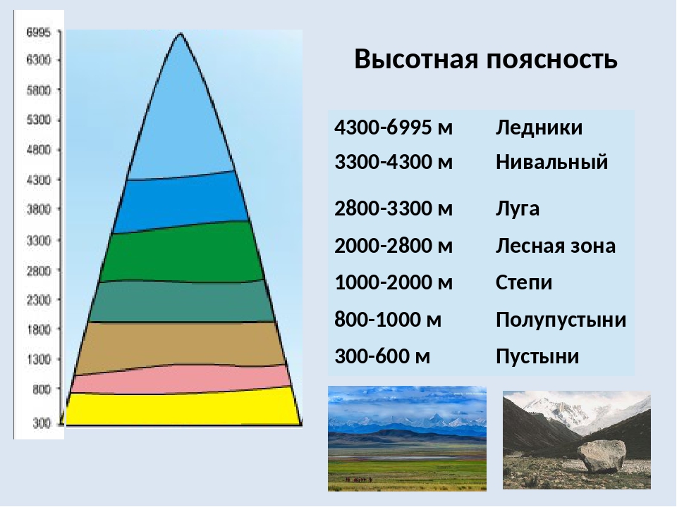 Сколько высотных поясов в горах